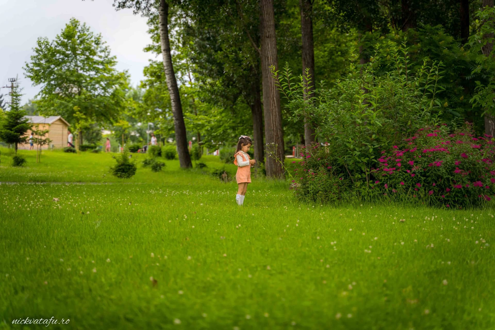 Fetiță jucându-se pe iarba verde, înconjurată de natură, perfectă pentru o fotografie de nuntă sau botez în Pitești.