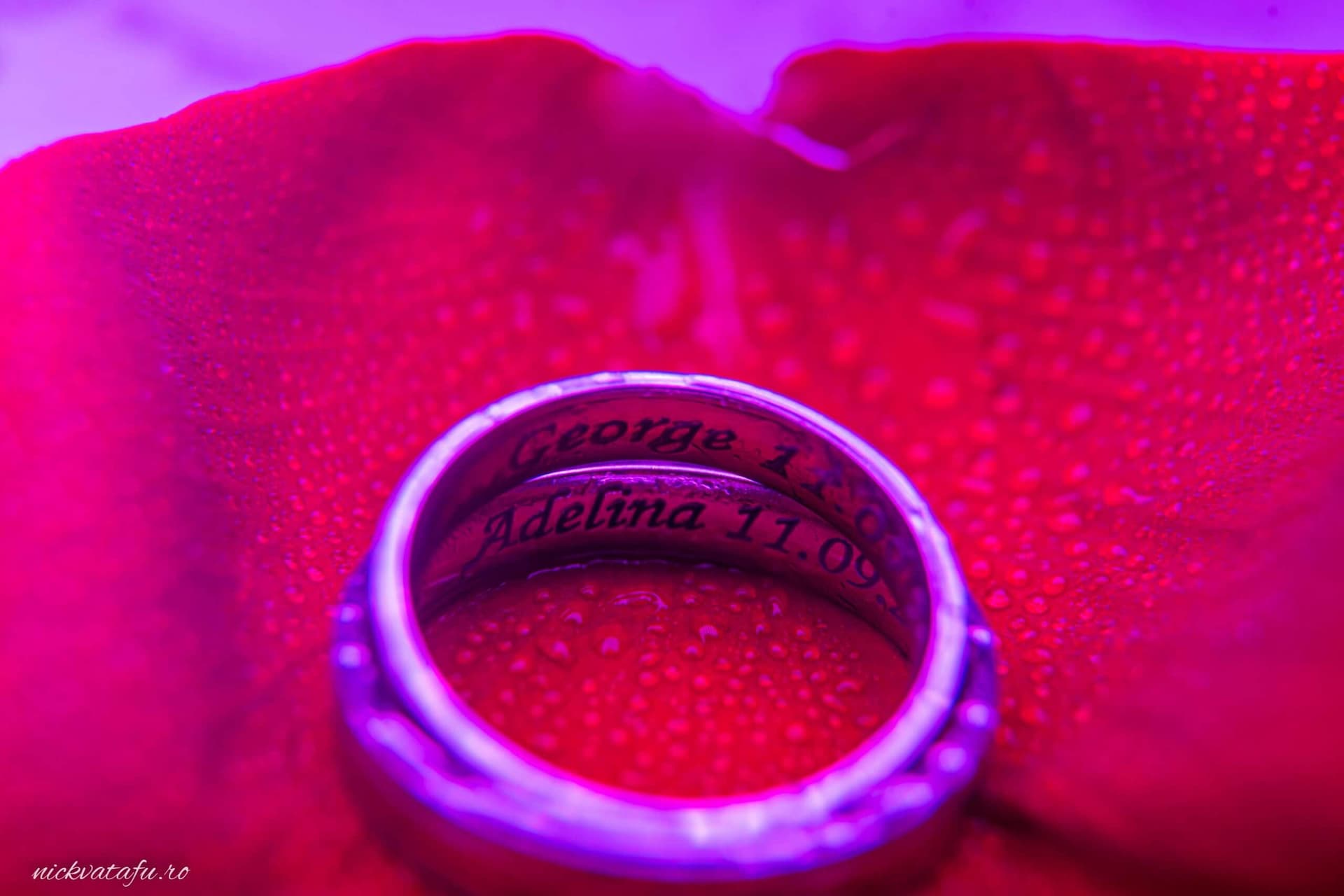 Inel de logodnă așezat pe petale roșii, iluminat delicat, simbolizând emoția unei fotografii de nuntă.