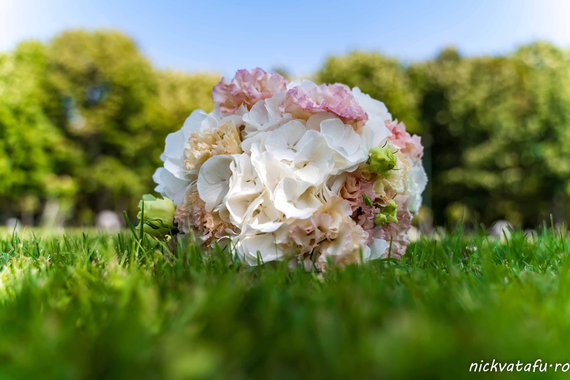 fotograf cununie civila sedinte foto portret