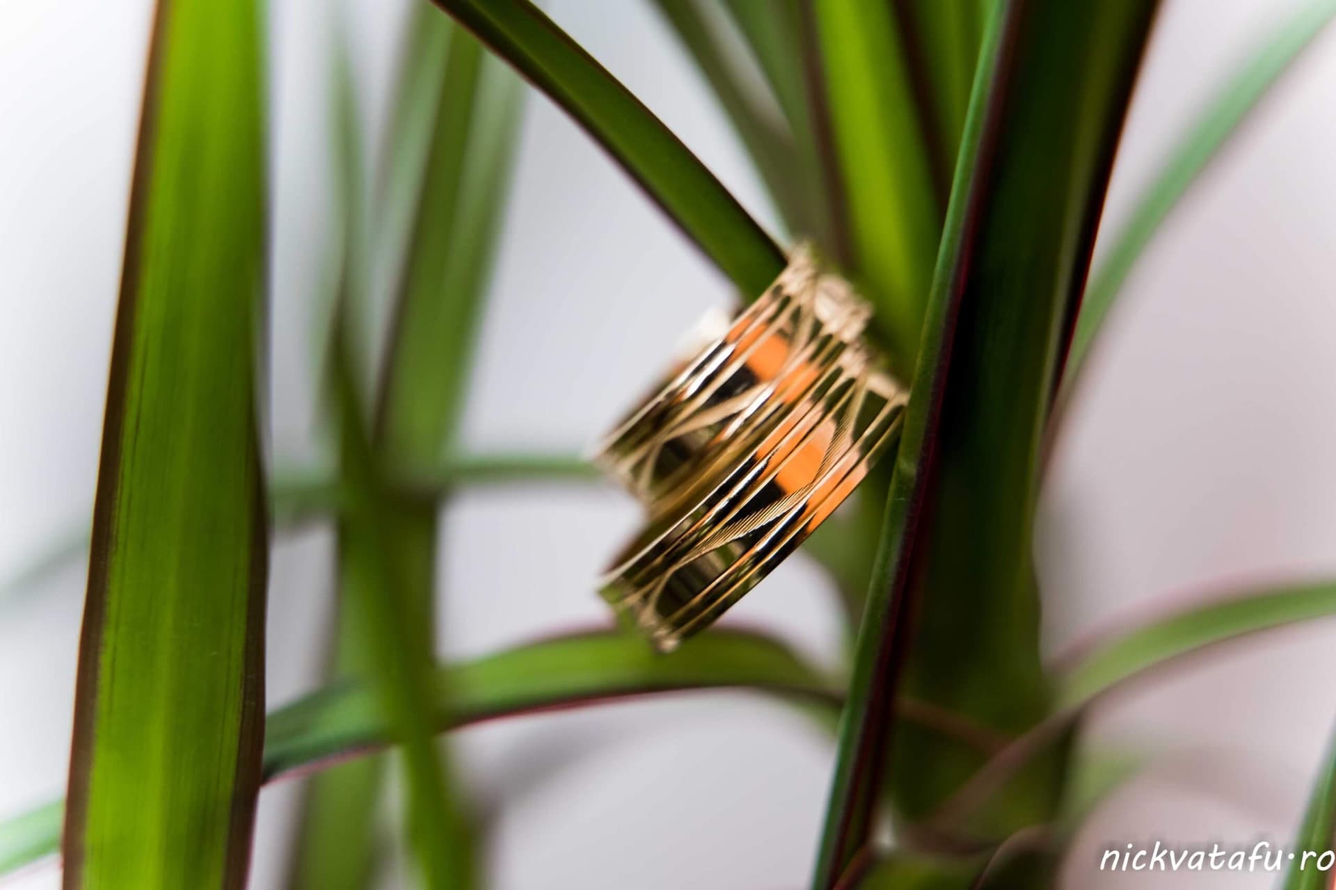 fotograf nunta sedinta foto miri verighete